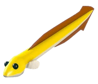 Eel