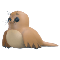 Galapagos Sea Lion