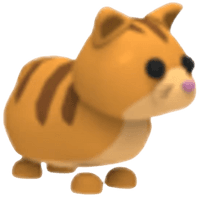 Ginger Cat