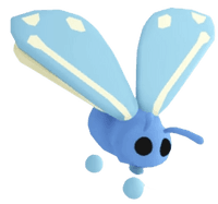 Glacier Moth
