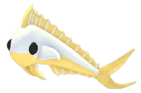 Gold Mahi Mahi
