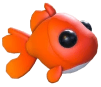 Goldfish
