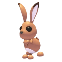 Hare