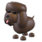 Irish Water Spaniel