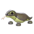 Komodo Dragon