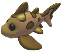 Leopard Shark
