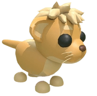Lion Cub
