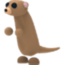 Meerkat