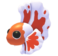 Orange Betta Fish
