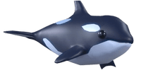 Orca