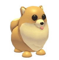 Pomeranian