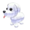 Practice Dog