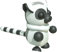 Ring-tailed Lemur