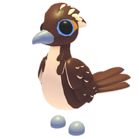 Roadrunner
