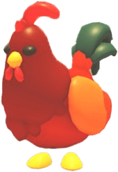 Rooster