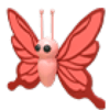 Scarlet Butterfly