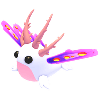 Sea Slug