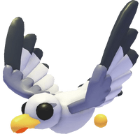 Seagull