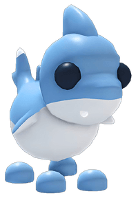 Shark Puppy