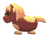 Shetland Pony Dark Brown