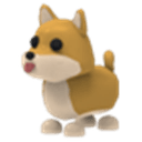 Shiba Inu