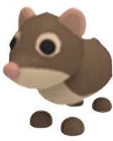 Shrew