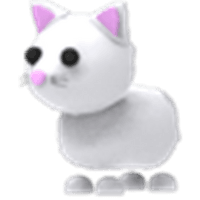 Snow Cat