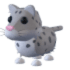 Snow Leopard