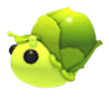 Sprout Snail