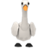 Swan