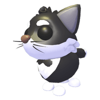 Tuxedo Cat