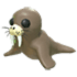 Walrus