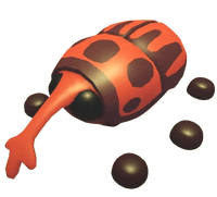 Weevil