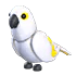White Amazon