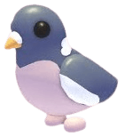 Wood Pigeon
